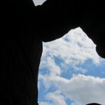 Красноярские столбы: камень в небе